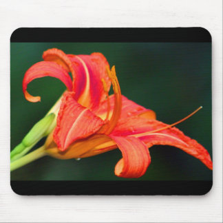 Tiger Lilly Mouse Pad
