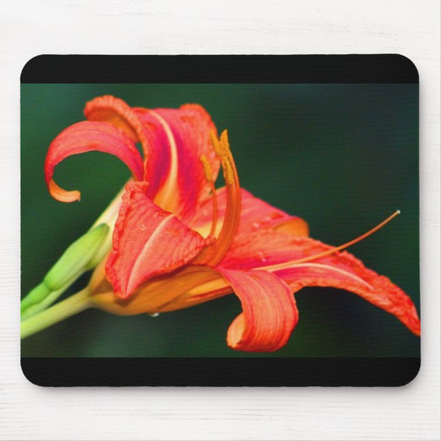 Tiger Lilly Mouse Pad (Front)