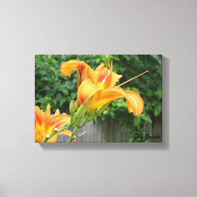 tiger lily canvas print (Front)
