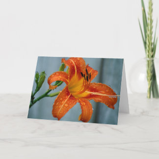 Tiger Lily Card