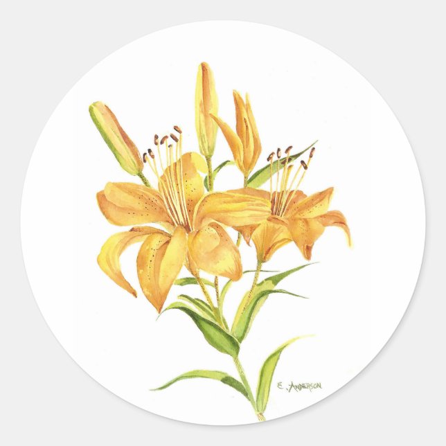 Tiger lily classic round sticker (Front)