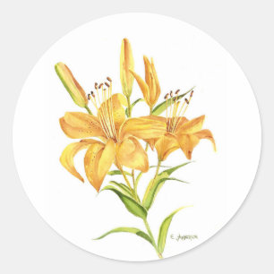 Tiger lily classic round sticker