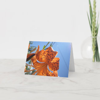 Tiger Lily Flower Easter Card