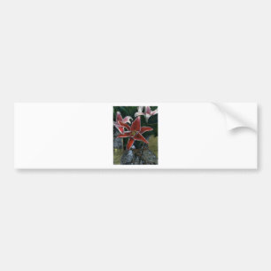 Tiger Lily jGibney The MUSEUM Zazzle Gifts Bumper Sticker