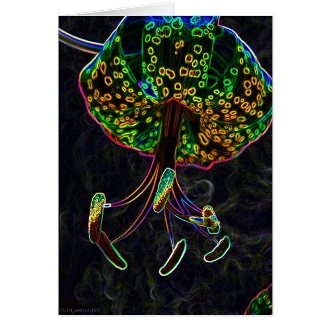 Tiger Lily Photoshop (Front)