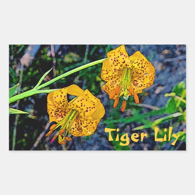 Tiger Lily Rectangular Sticker (Front)