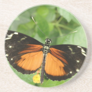 Tiger Longwing Butterfly Coasters