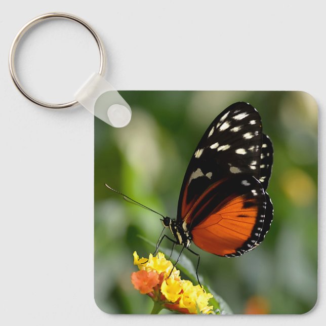Tiger Longwing butterfly on flower  Key Ring (Front)