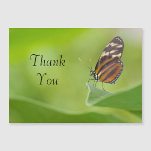 Tiger Longwing butterfly Thank You Card