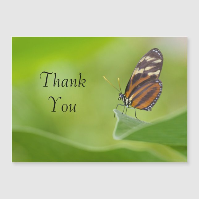 Tiger Longwing butterfly Thank You Card (Front)