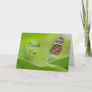 Tiger Longwing thank you card