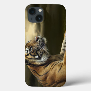 Tiger looking and sitting under dramatic sky iPhone 13 case