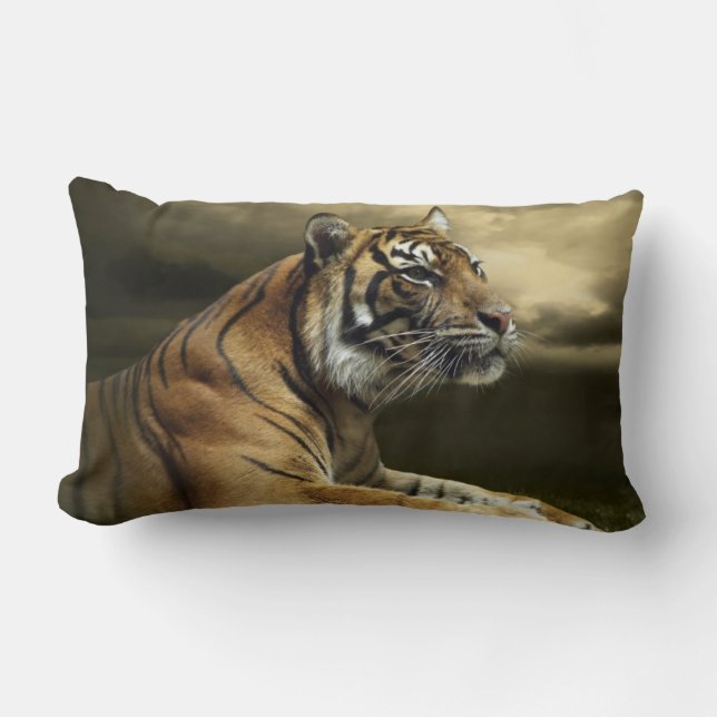 Tiger looking and sitting under dramatic sky lumbar cushion (Front)