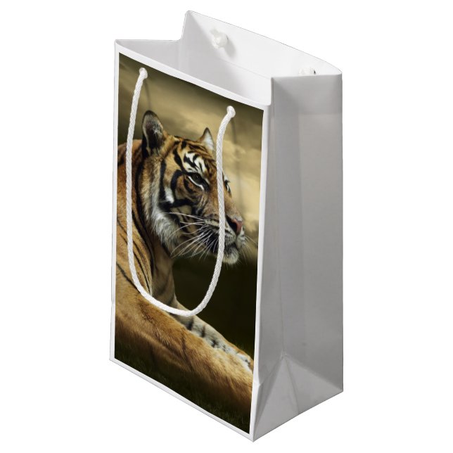 Tiger looking and sitting under dramatic sky small gift bag (Front Angled)