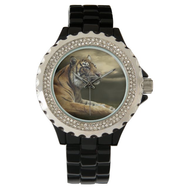Tiger looking and sitting under dramatic sky watch (Front)