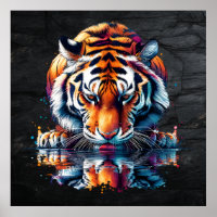Tiger looking at Reflection in Water
