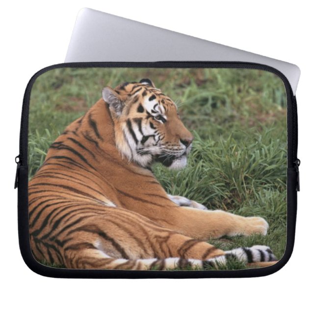 Tiger Lounging Laptop Sleeve (Front)