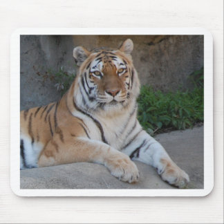 Tiger Love Mouse Pad