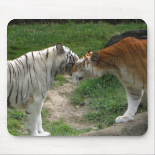 Tiger Love Mouse Pad