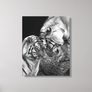Tiger Love Photo on Canvas Wrap