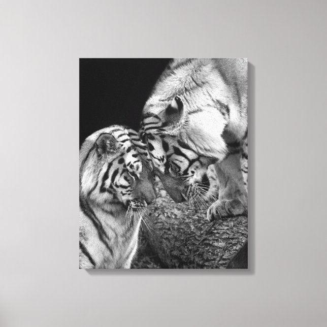 Tiger Love Photo on Canvas Wrap (Front)
