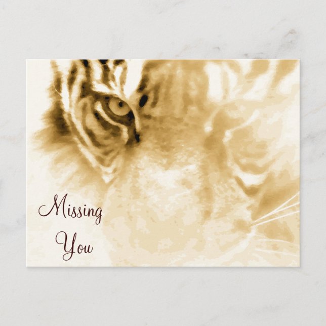 ,Tiger Love_ Postcard (Front)