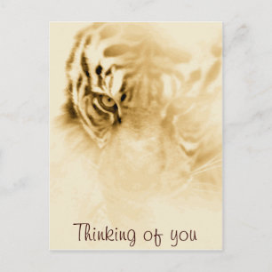 ,Tiger Love_ Postcard
