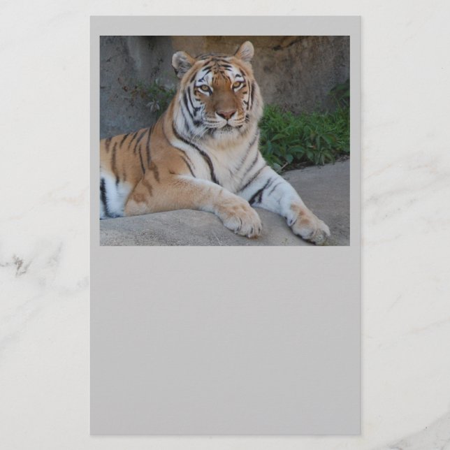 Tiger Love Stationery (Front)