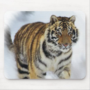 Tiger Lovers Art Mouse Pad