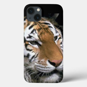 Tiger Lovers iPhone 13 Case
