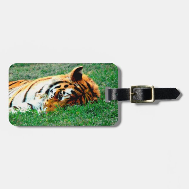 Tiger Lying down Luggage Tag (Front Horizontal)