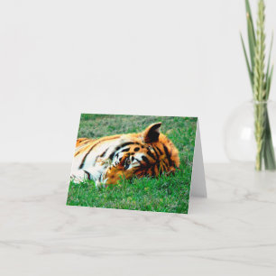 Tiger Lying down Note Card