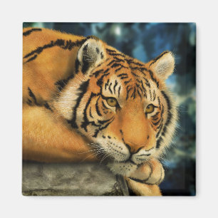 Tiger Magnet