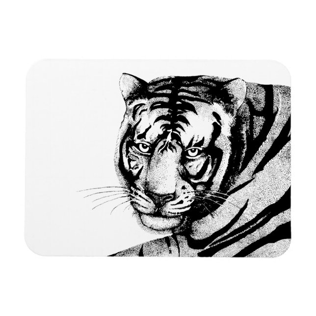 TIGER MAGNET (Horizontal)