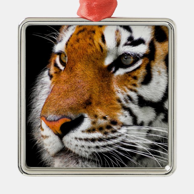 Tiger Metal Tree Decoration (Front)