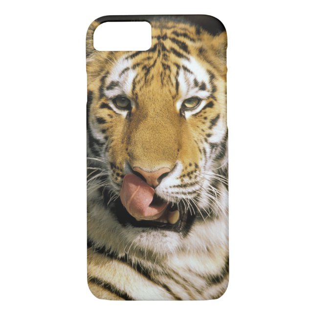 Tiger Michigan Zoo Case-Mate iPhone Case (Back)