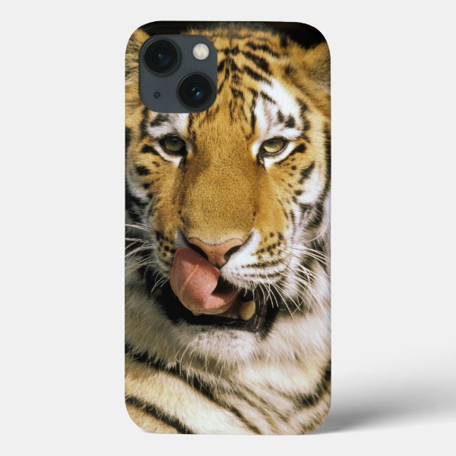 Tiger Michigan Zoo Case-Mate iPhone Case (Back)