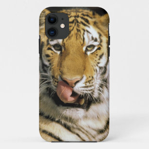 Tiger Michigan Zoo Case-Mate iPhone Case