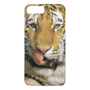 Tiger Michigan Zoo Case-Mate iPhone Case