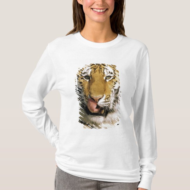 Tiger Michigan Zoo T-Shirt (Front)