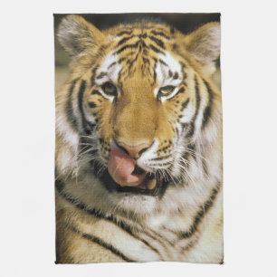 Tiger Michigan Zoo Tea Towel