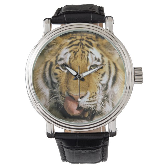 Tiger Michigan Zoo Watch (Front)