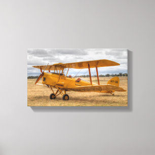 Tiger Moth Canvas Print