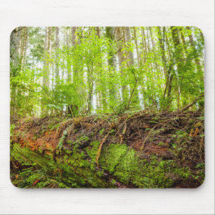 Tiger Mountain Issaquah, Washington State Mouse Pad