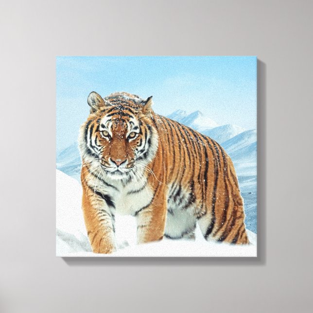 Tiger Mountains Winter Snow Nature Photo Canvas (Front)