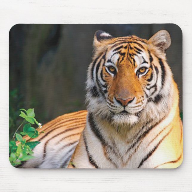 Tiger Mouse Mat (Front)