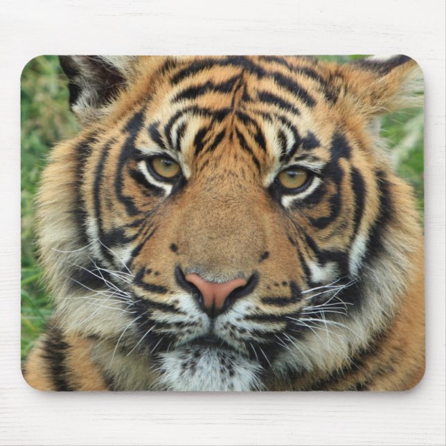 Tiger Mouse mat (Front)