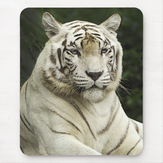 tiger mouse pad (Front)
