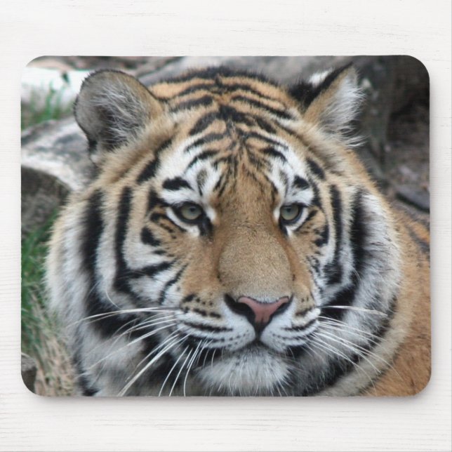 Tiger Mouse Pad (Front)