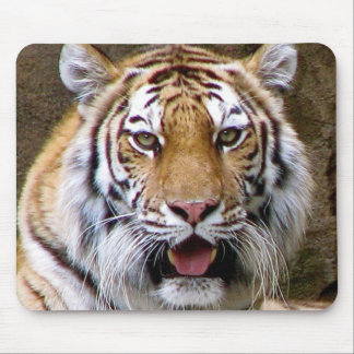 Tiger Mouse Pad